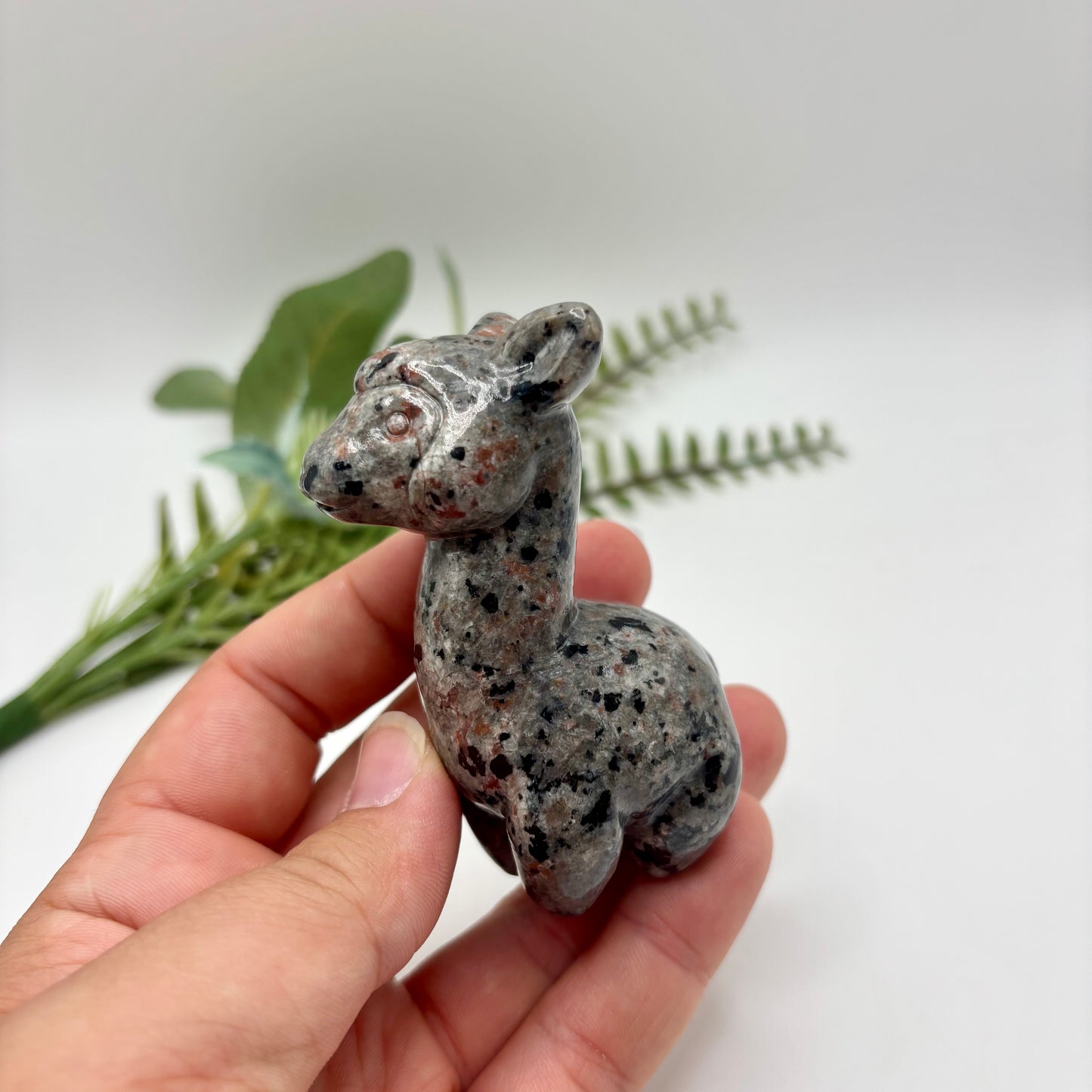 Yooperlite Alpaca
