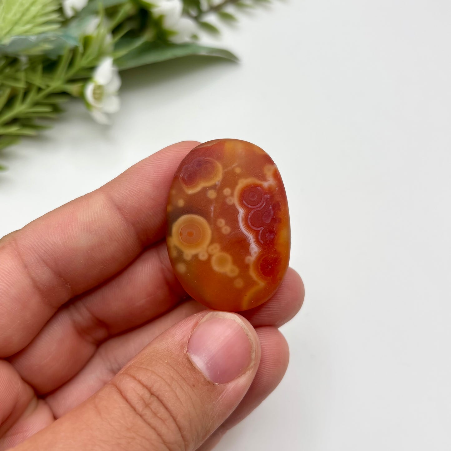 Gobi Agates (Small)