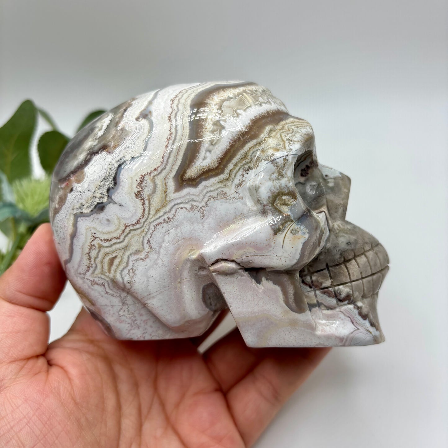 XL Mexican Crazy Lace Agate Skull