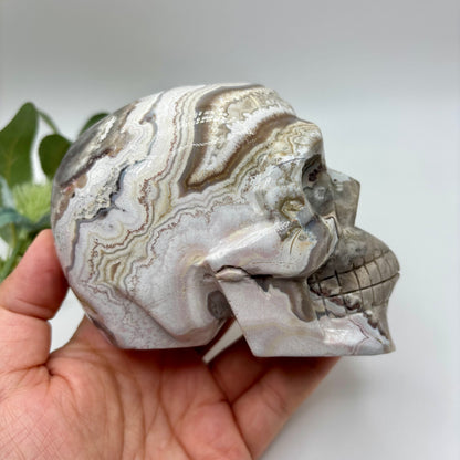 XL Mexican Crazy Lace Agate Skull