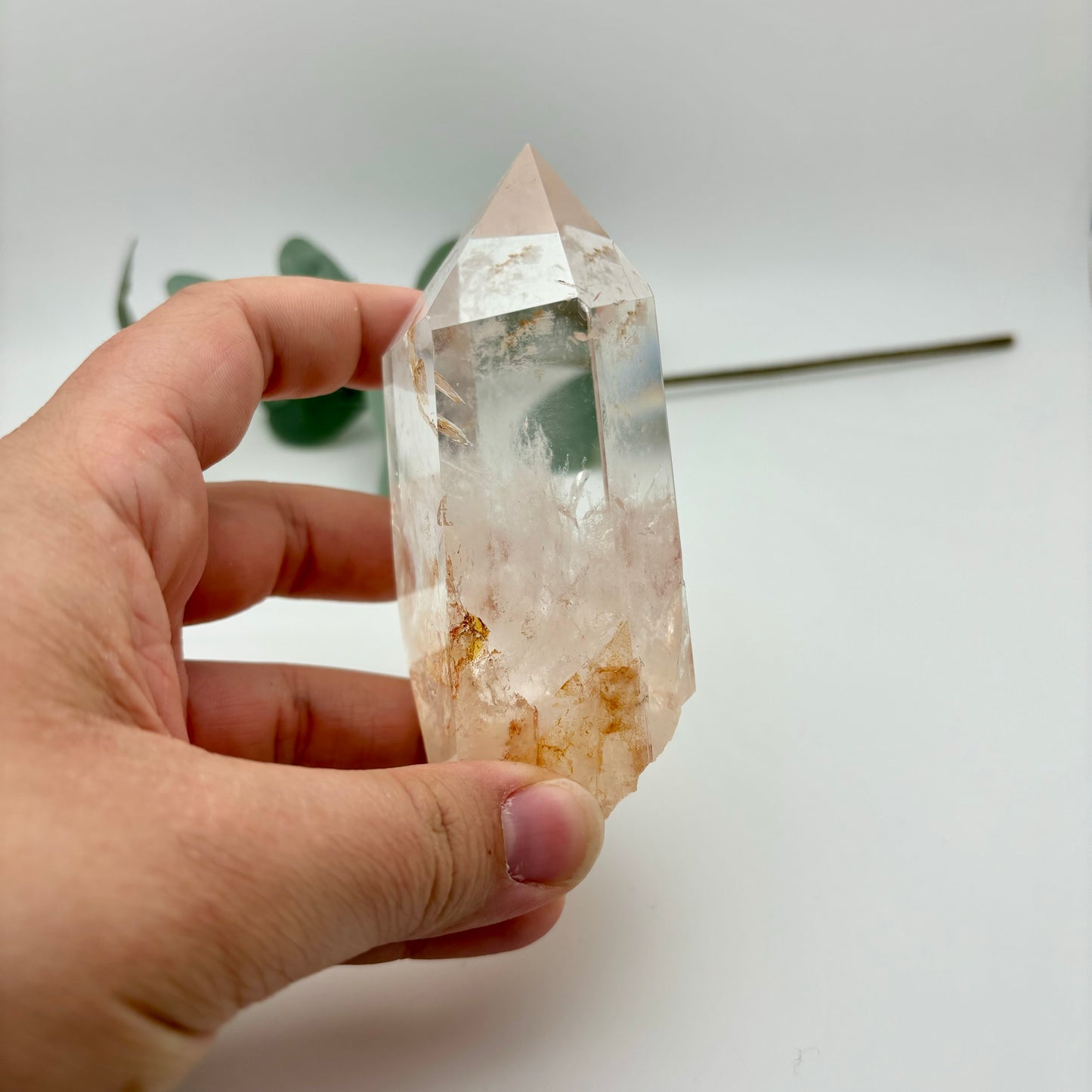 HQ Clear Quartz Points in Custom Stands