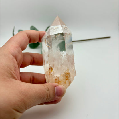 HQ Clear Quartz Points in Custom Stands