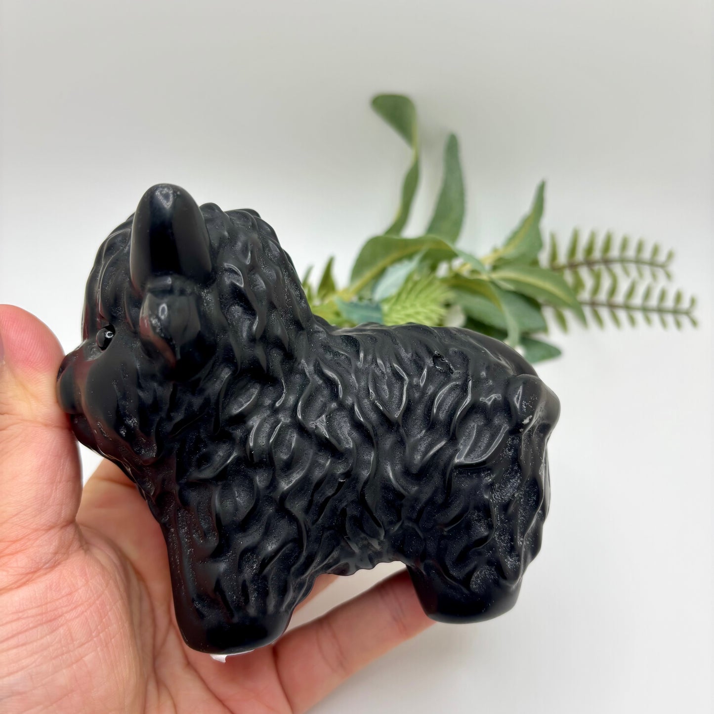 Highland Cows (XL)