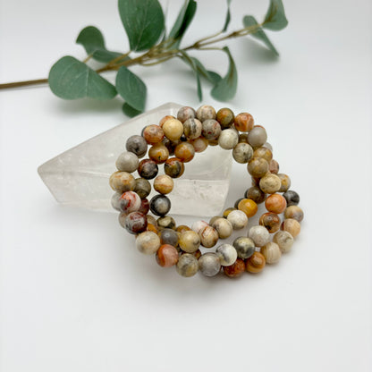 Crazy Lace Agate Bracelets