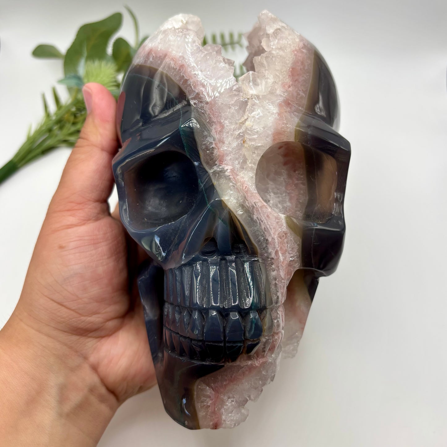 XXL Quartz in Agate Skull