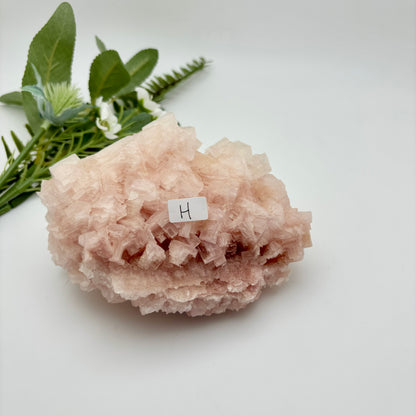 Raw Halite