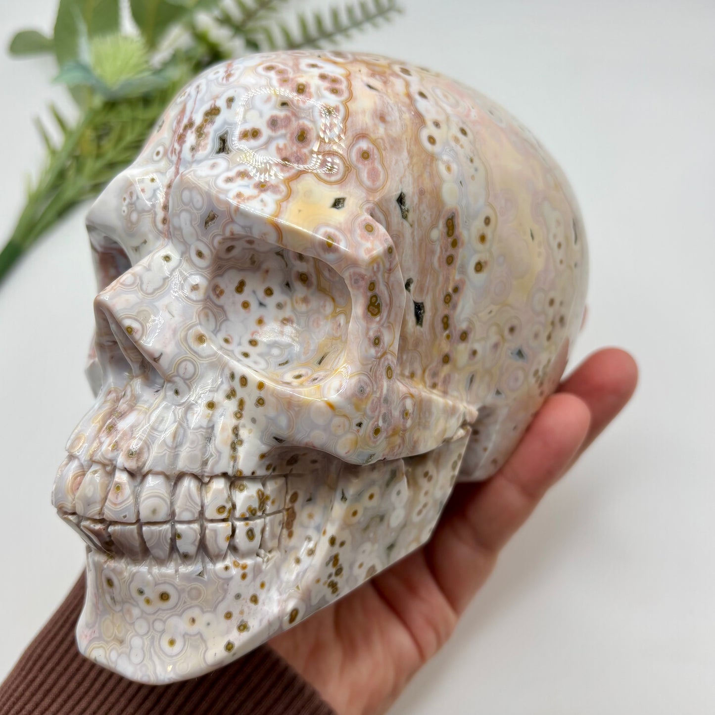 XL Morovato Ocean Jasper Skull