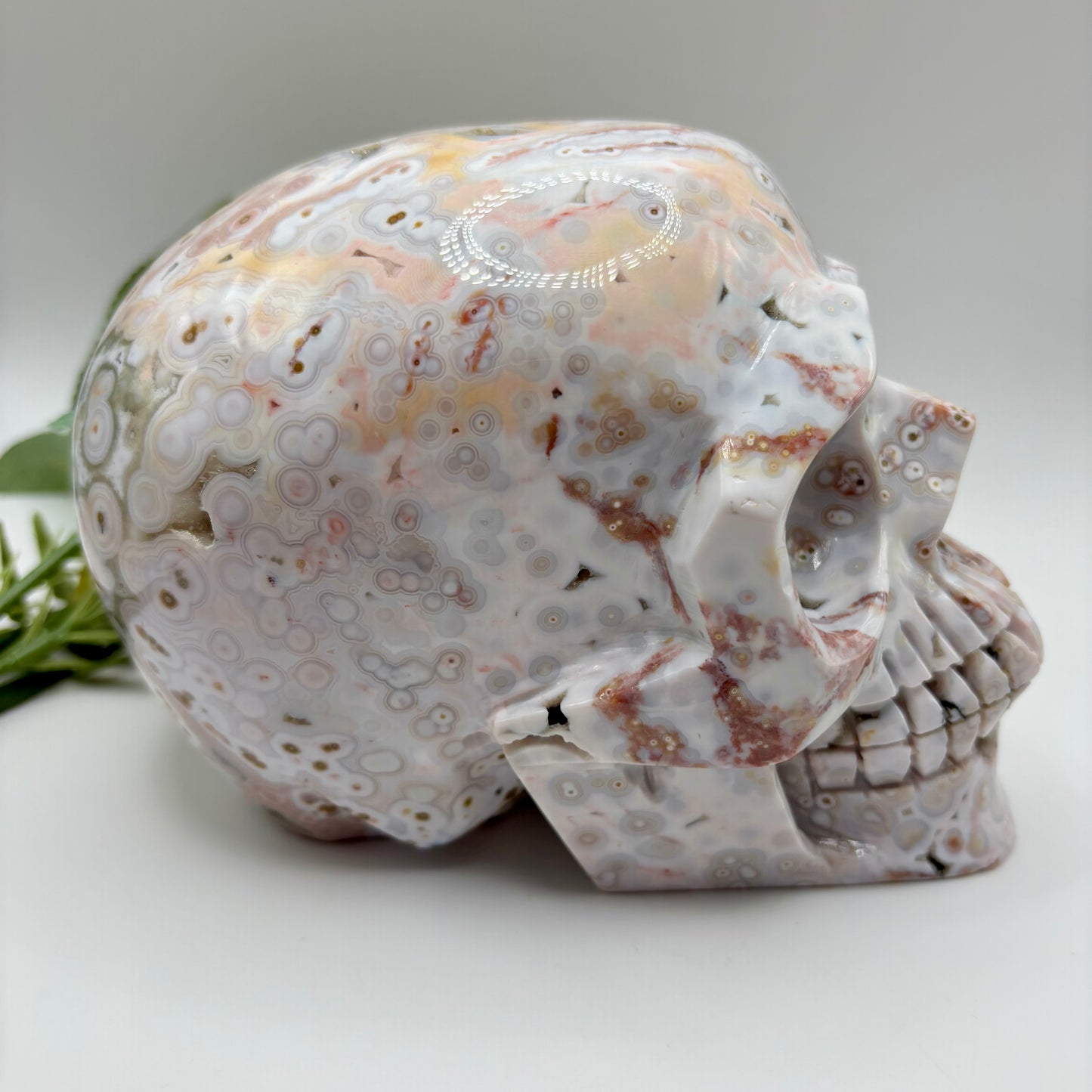 XL Morovato Ocean Jasper Skull