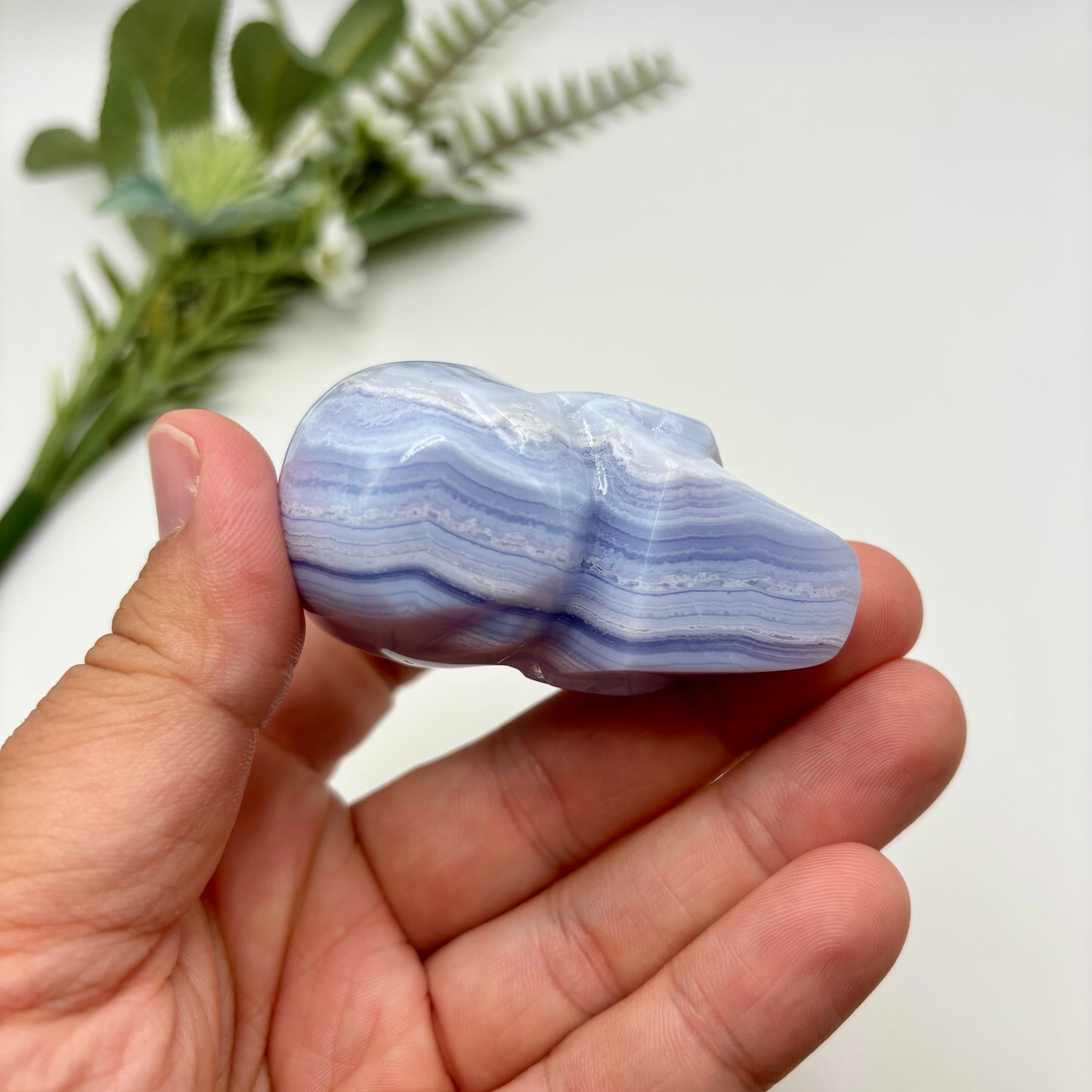 HQ Blue Lace Agate Skull