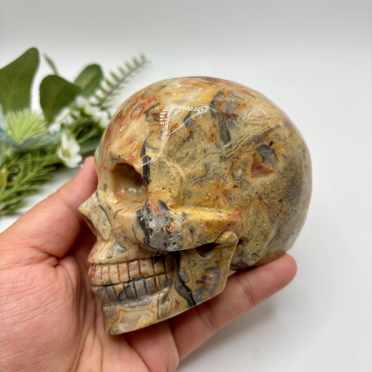 XL Crazy Lace Agate Skull