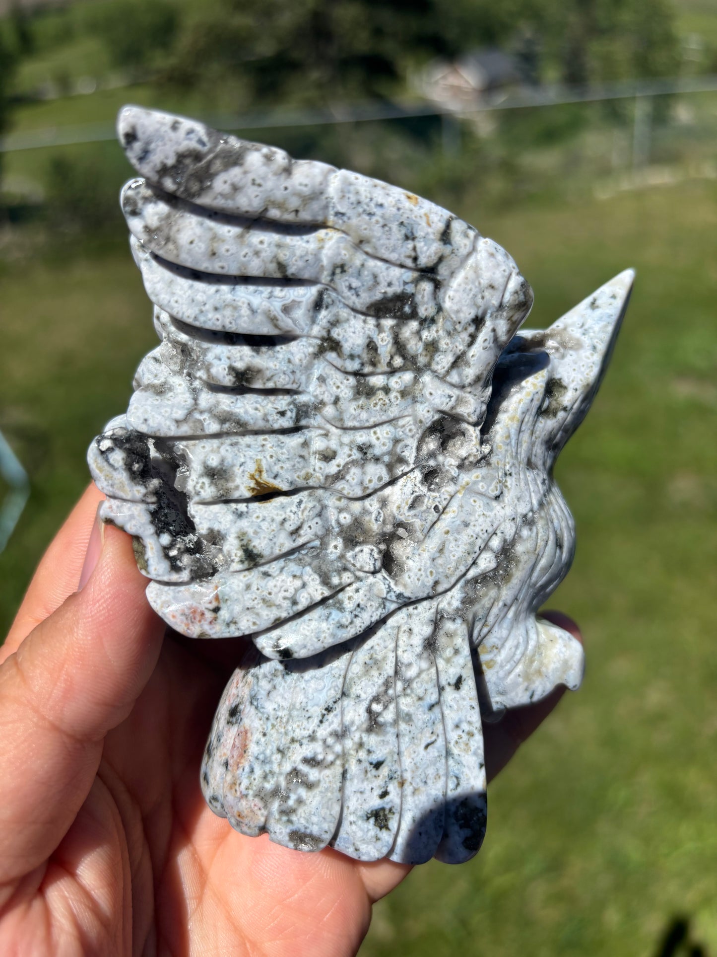 Orbicular Jasper Hummingbird