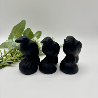 Obsidian Ravens