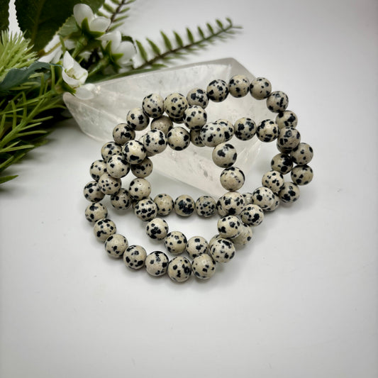 Dalmatian Jasper Bracelets
