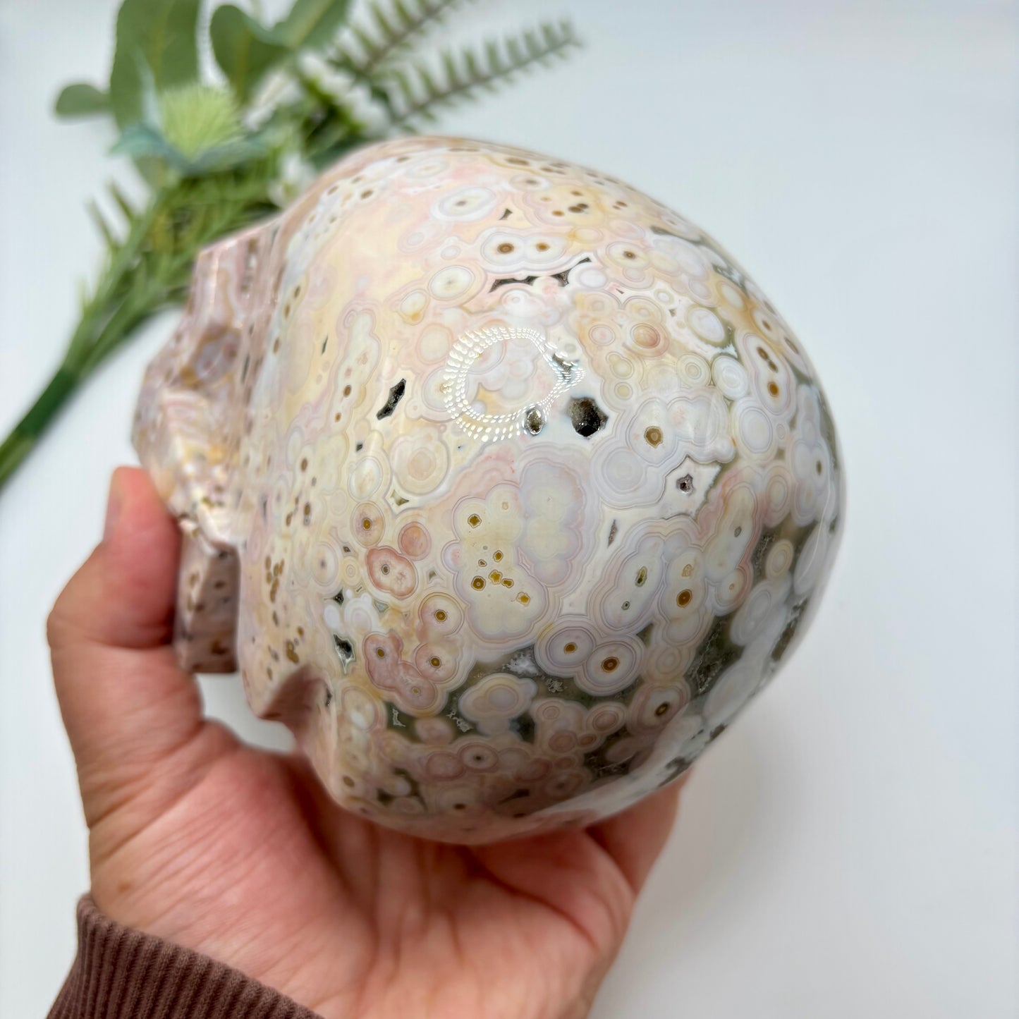 XL Morovato Ocean Jasper Skull