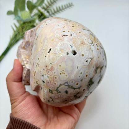 XL Morovato Ocean Jasper Skull