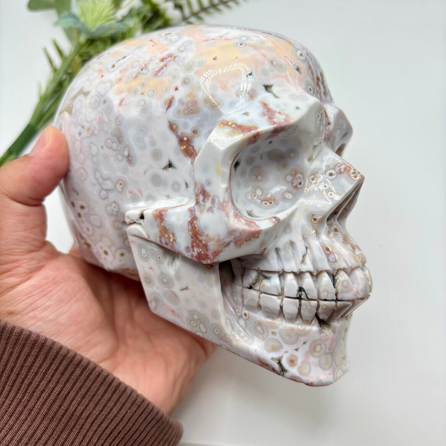 XL Morovato Ocean Jasper Skull