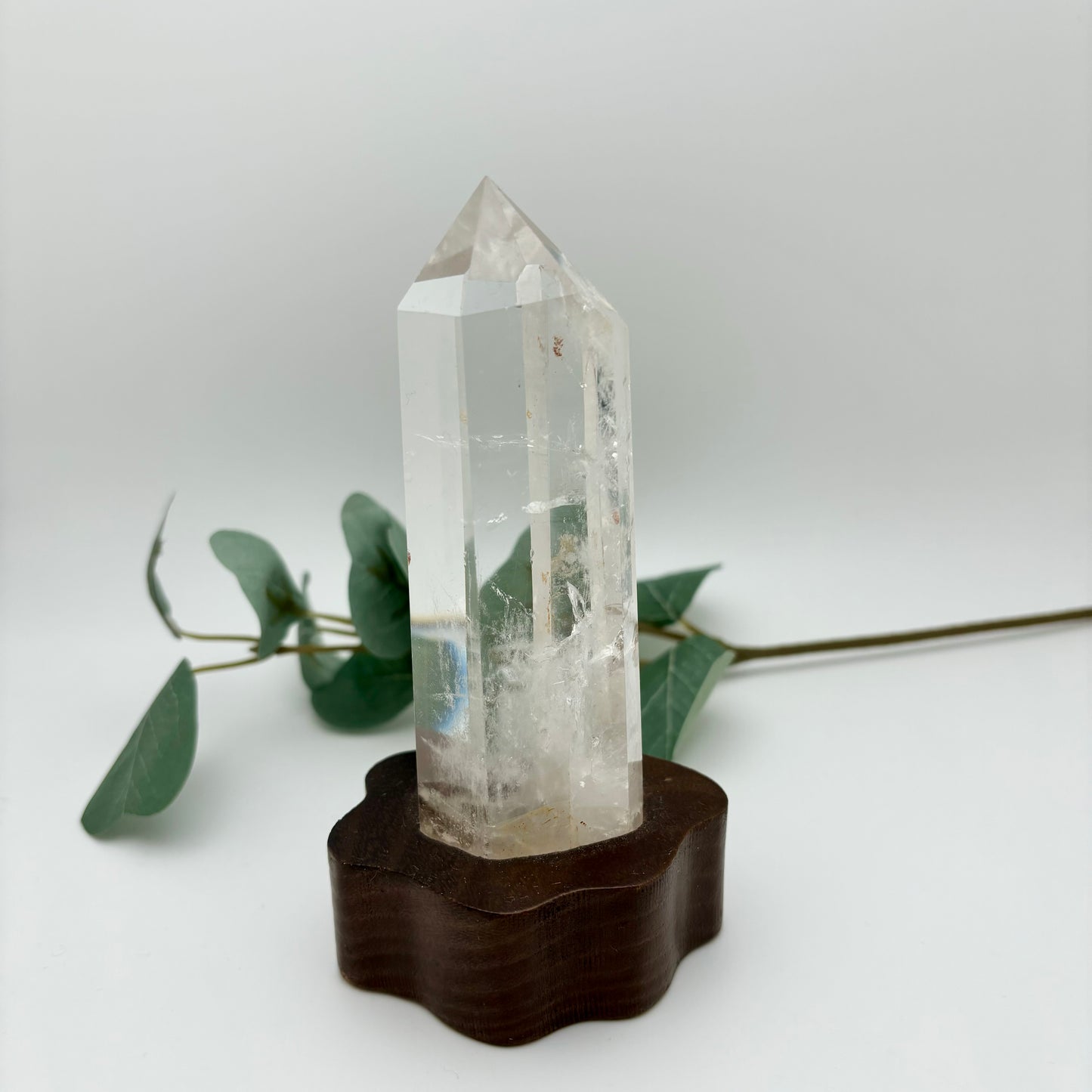 HQ Clear Quartz Points in Custom Stands