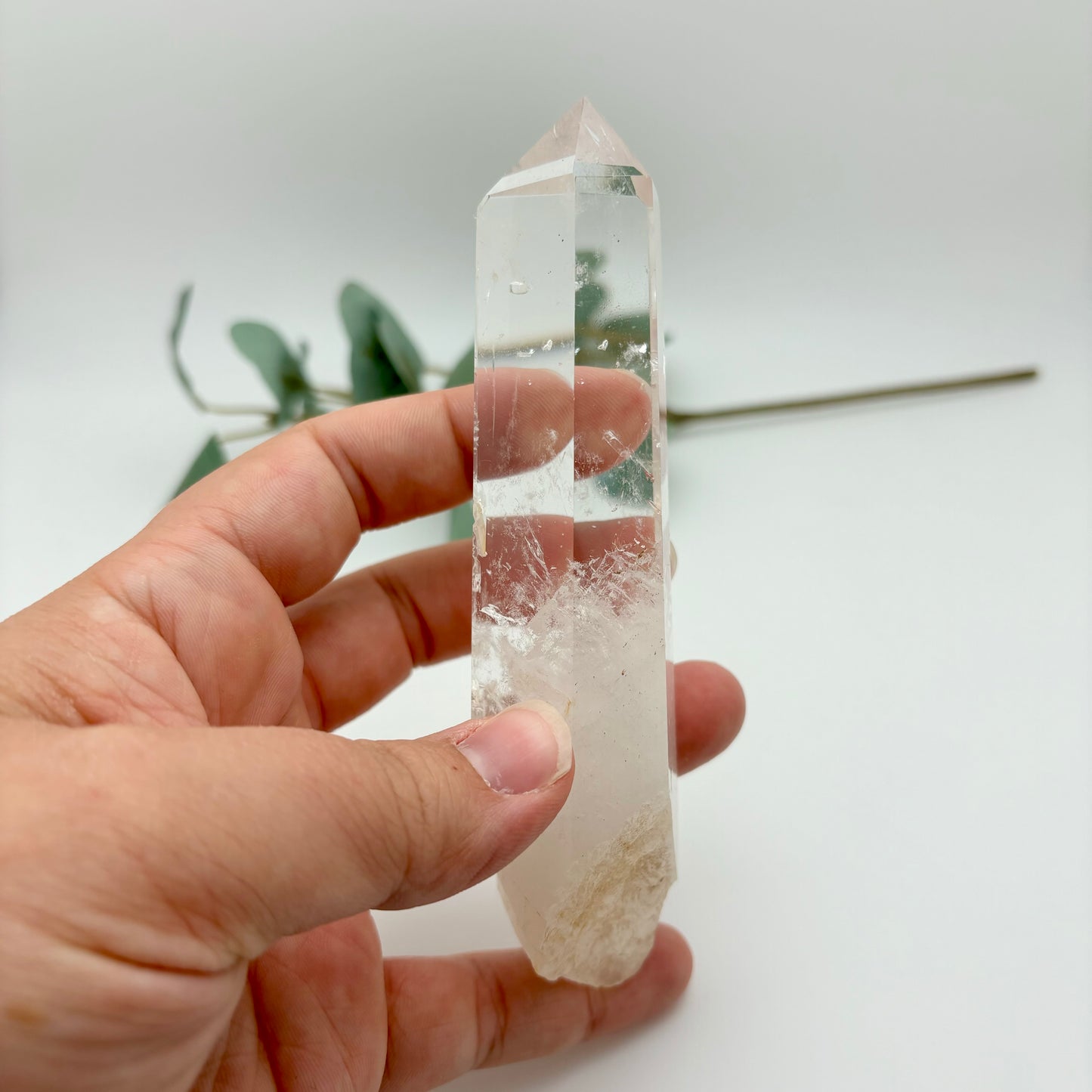 HQ Clear Quartz Points in Custom Stands