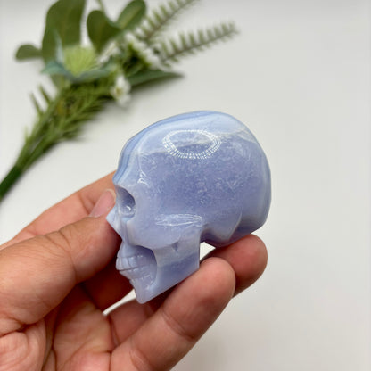 HQ Blue Lace Agate Skull