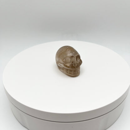 Golden Rutile Skull