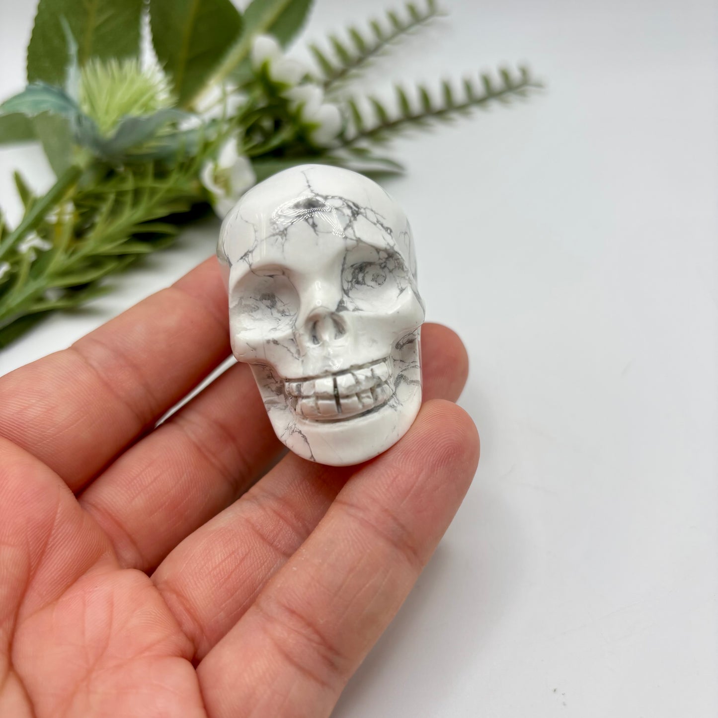 Howlite Skull