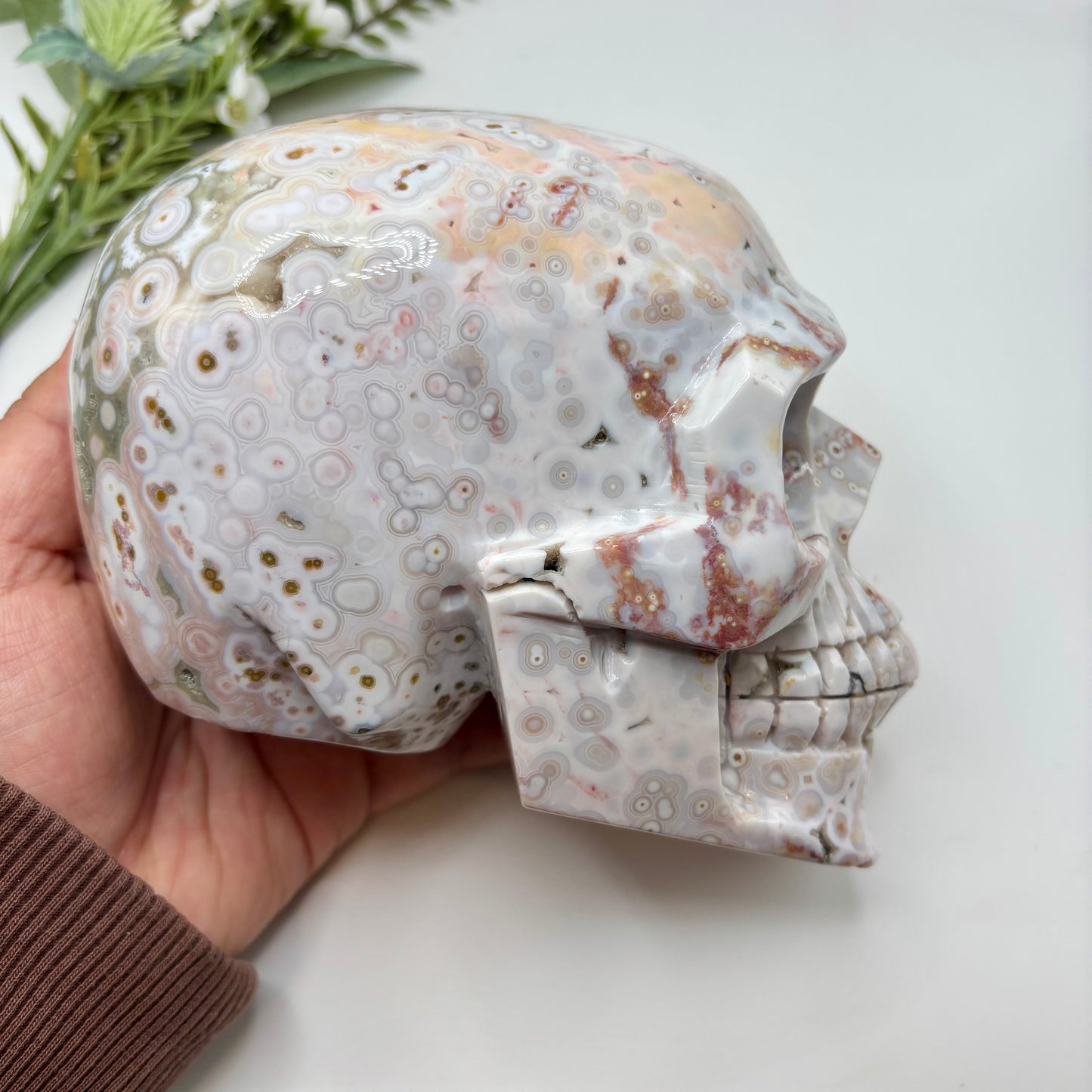 XL Morovato Ocean Jasper Skull