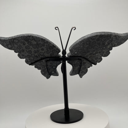 Leopard Jasper Wings