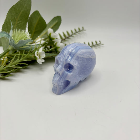 HQ Blue Lace Agate Skull
