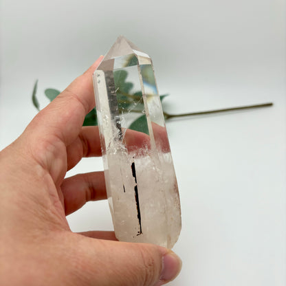 HQ Clear Quartz Points in Custom Stands