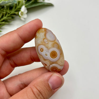 Gobi Agates (Medium)