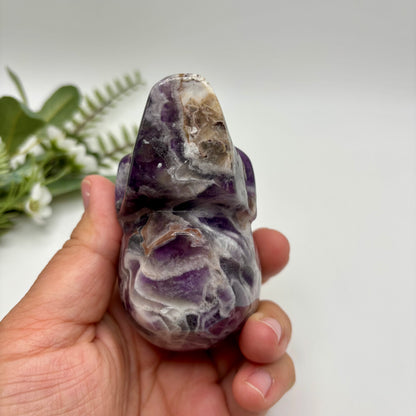 Dream Amethyst Skull