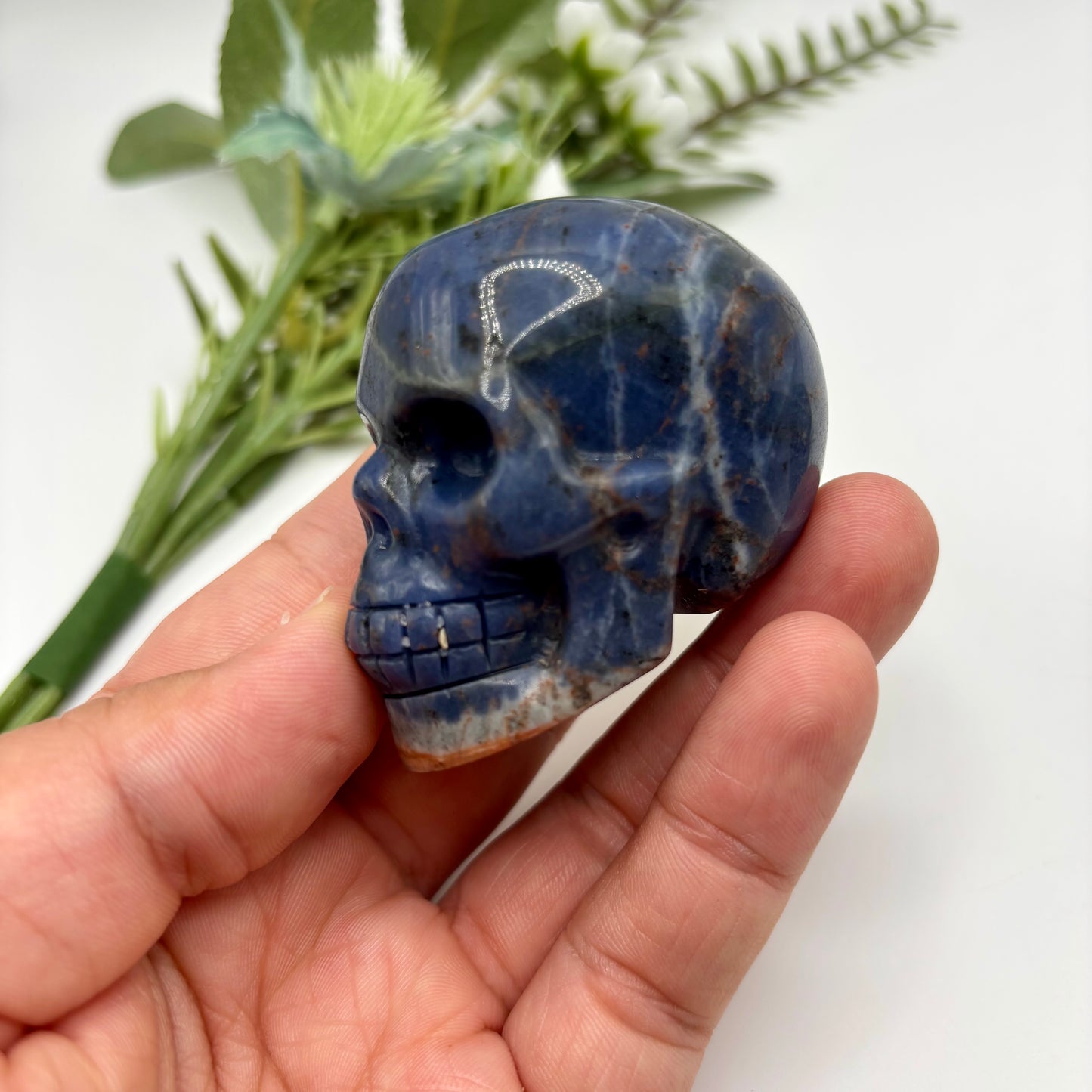 Sodalite Skulls