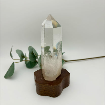 HQ Clear Quartz Points in Custom Stands