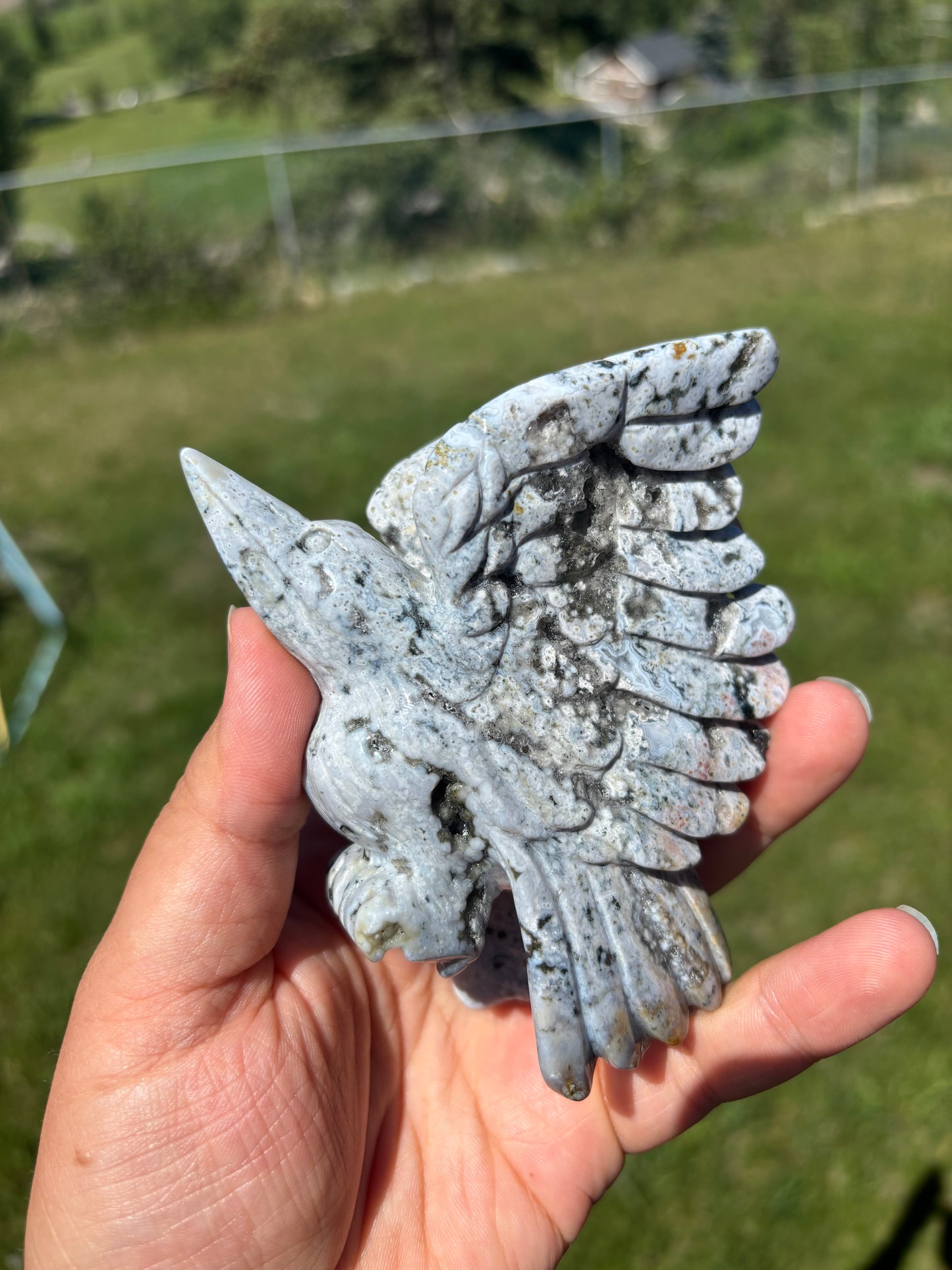 Orbicular Jasper Hummingbird