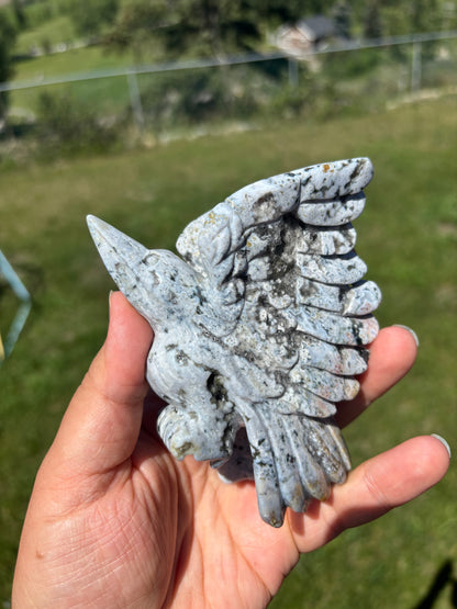 Orbicular Jasper Hummingbird