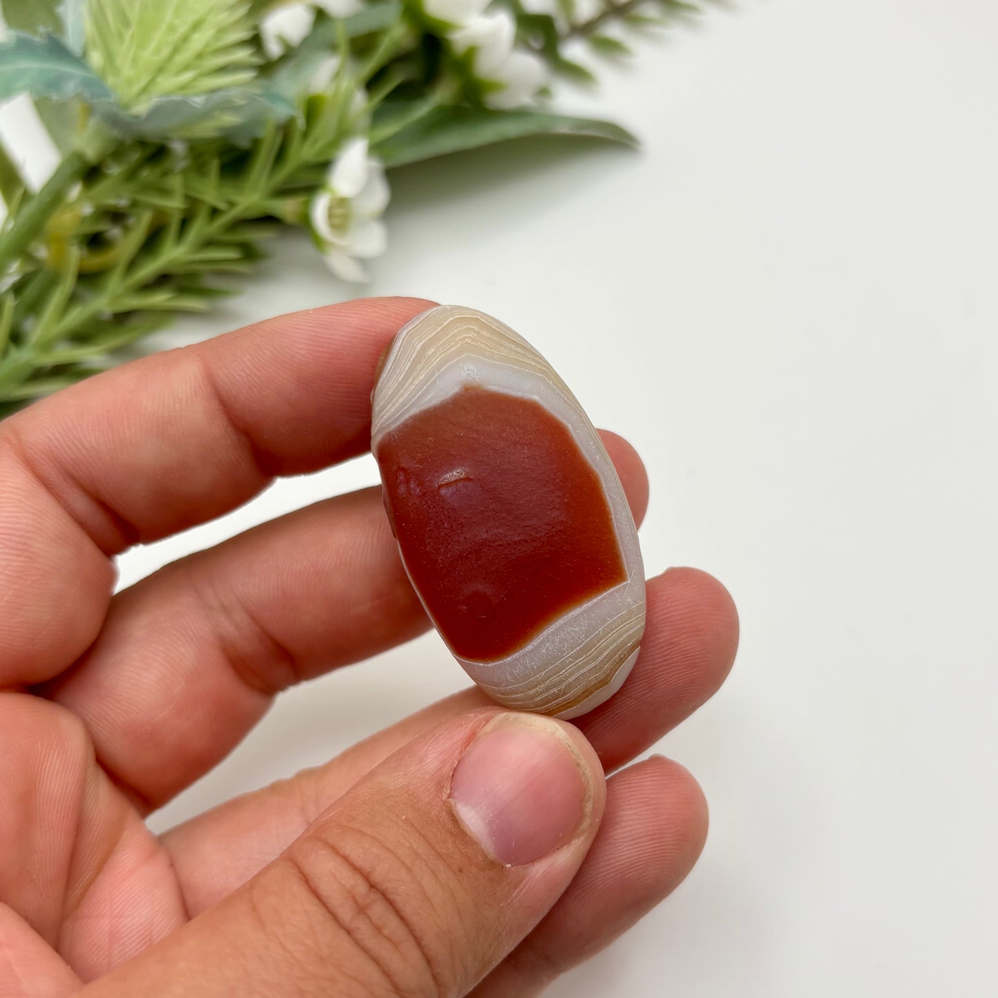 Gobi Agates (Medium)
