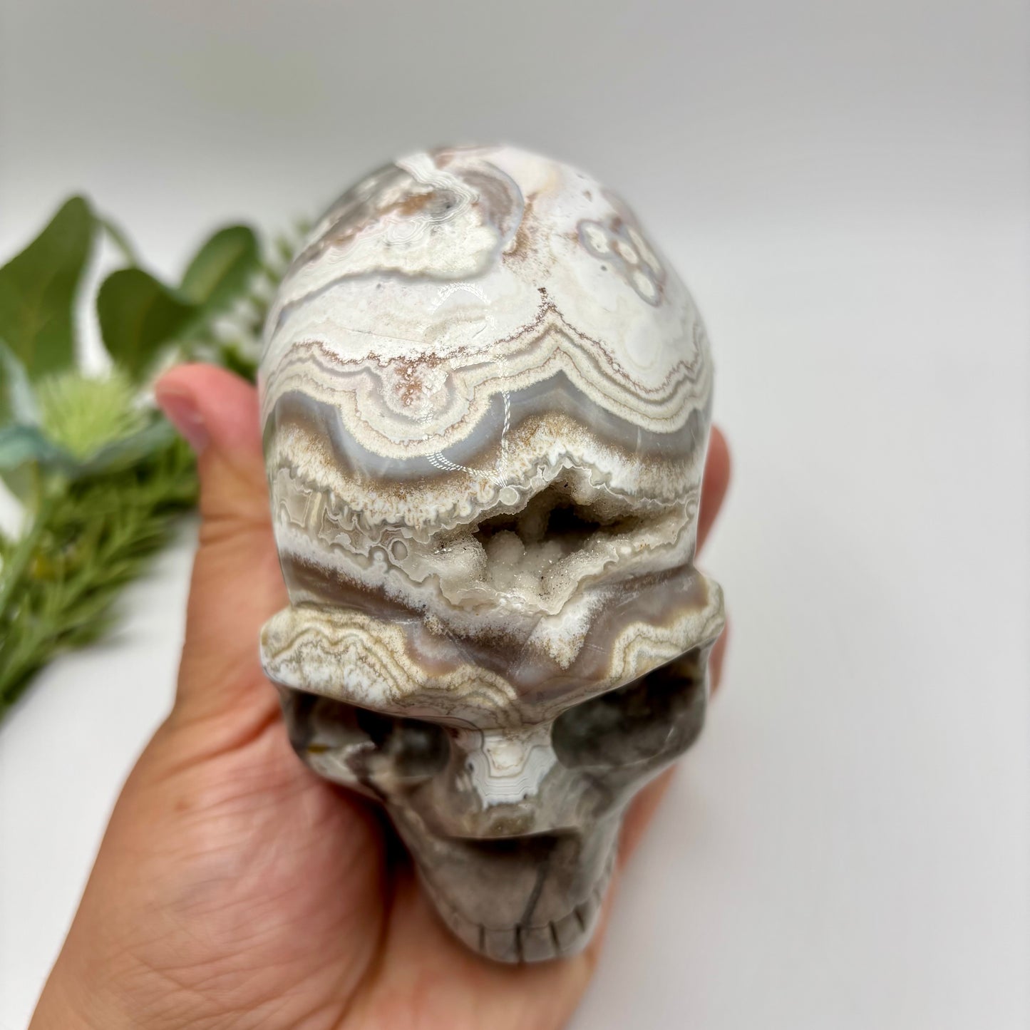 XL Mexican Crazy Lace Agate Skull