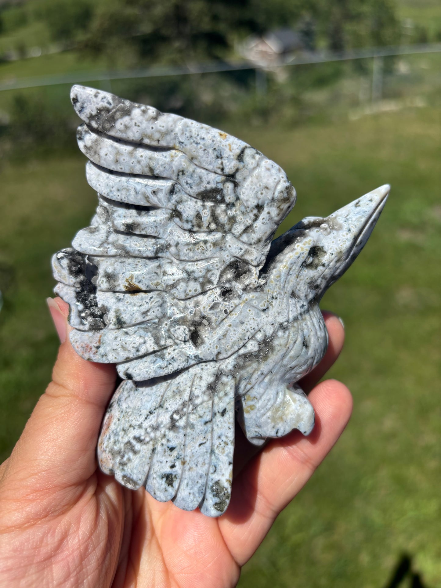 Orbicular Jasper Hummingbird