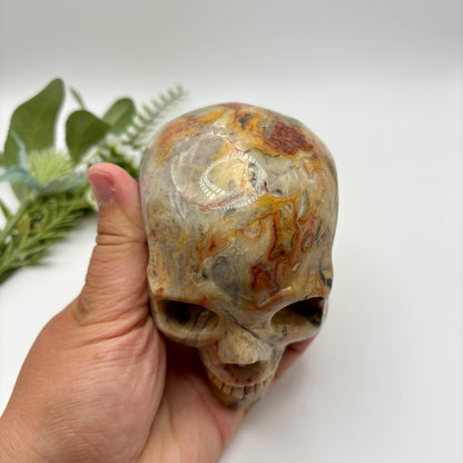 XL Crazy Lace Agate Skull