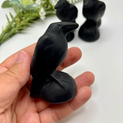 Obsidian Ravens