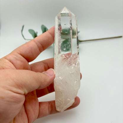HQ Clear Quartz Points in Custom Stands