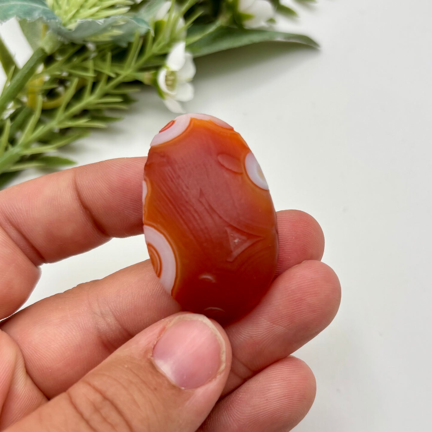 Gobi Agates (Medium)