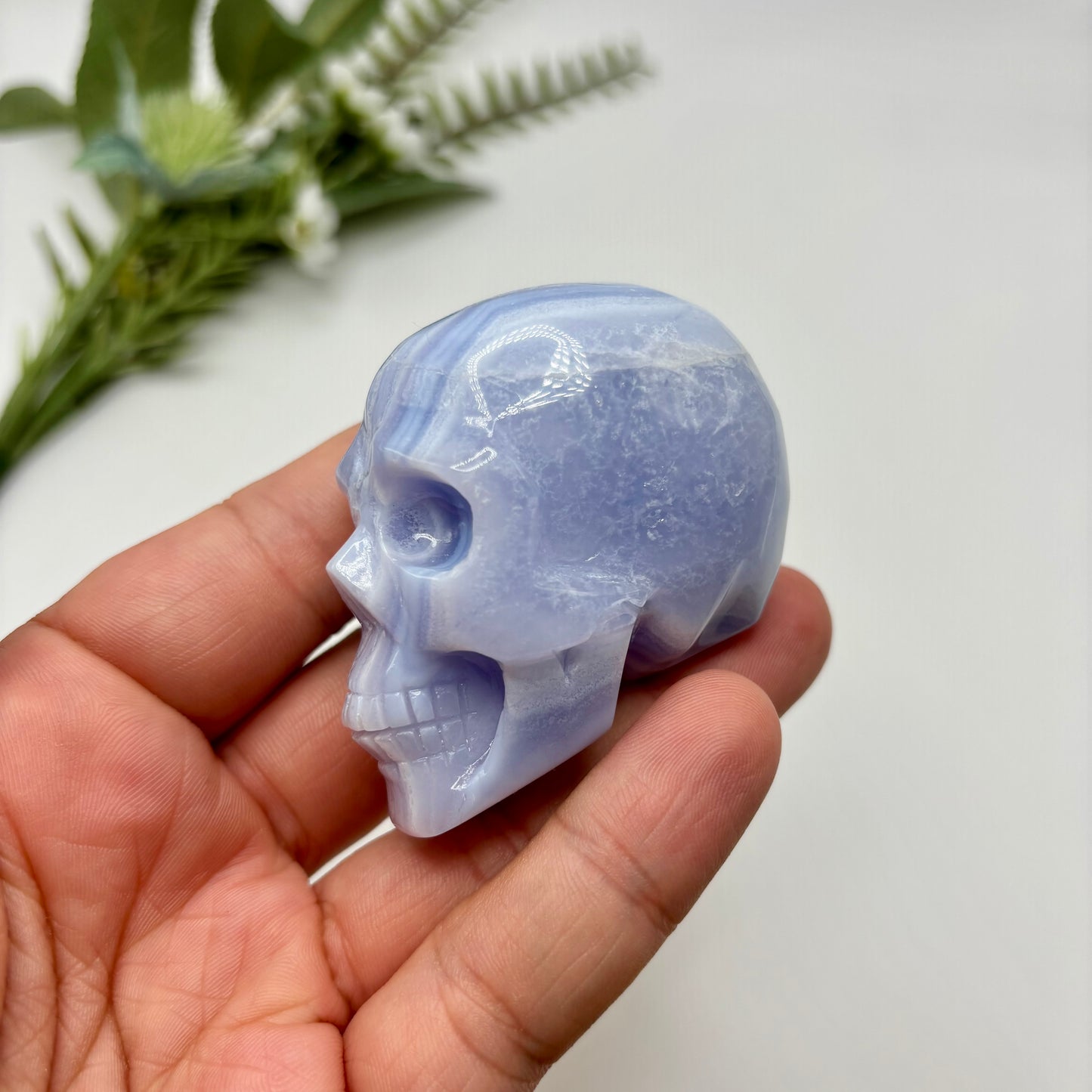HQ Blue Lace Agate Skull