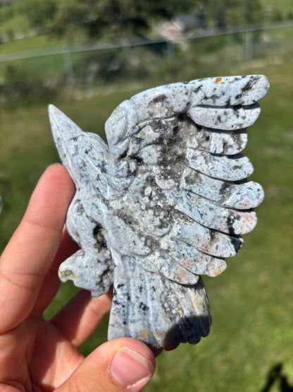 Orbicular Jasper Hummingbird