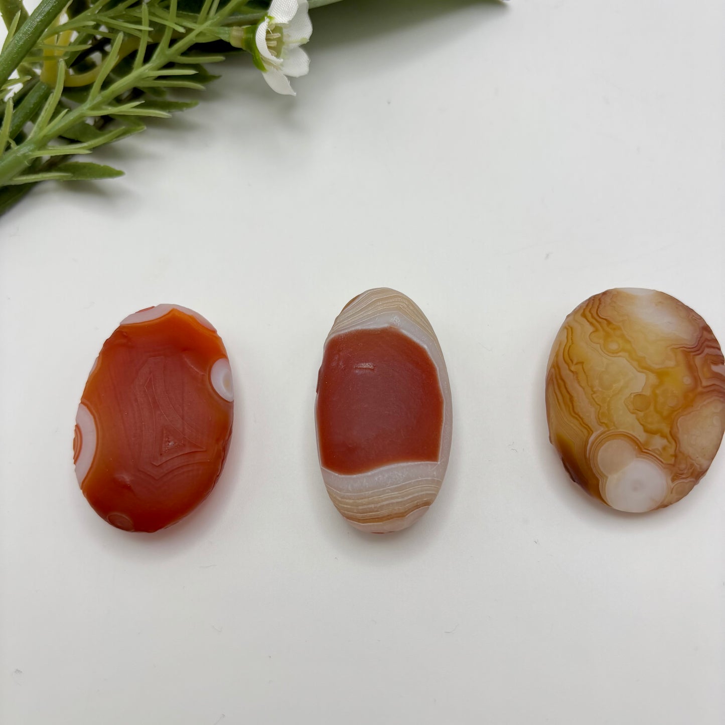 Gobi Agates (Medium)