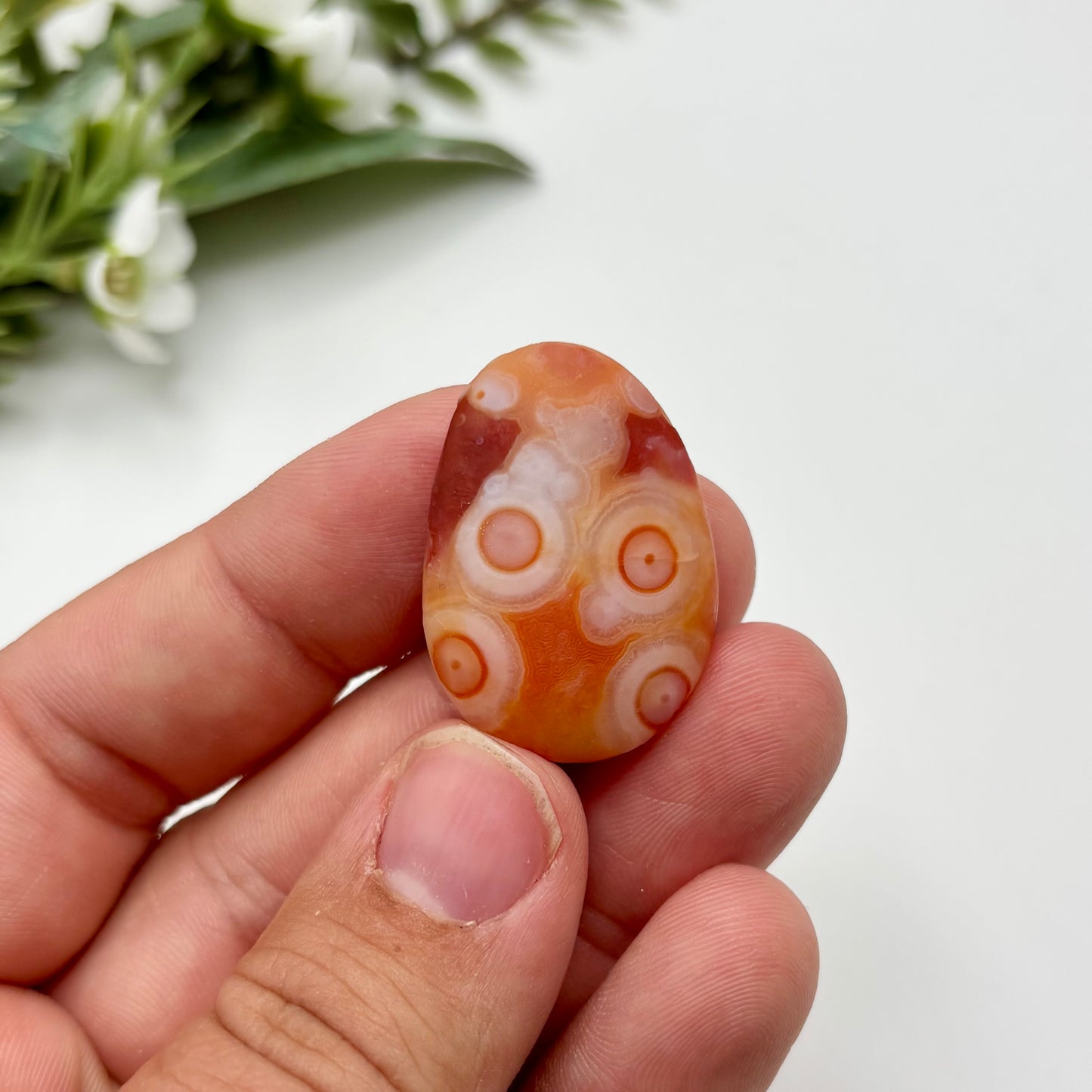 Gobi Agates (Small)