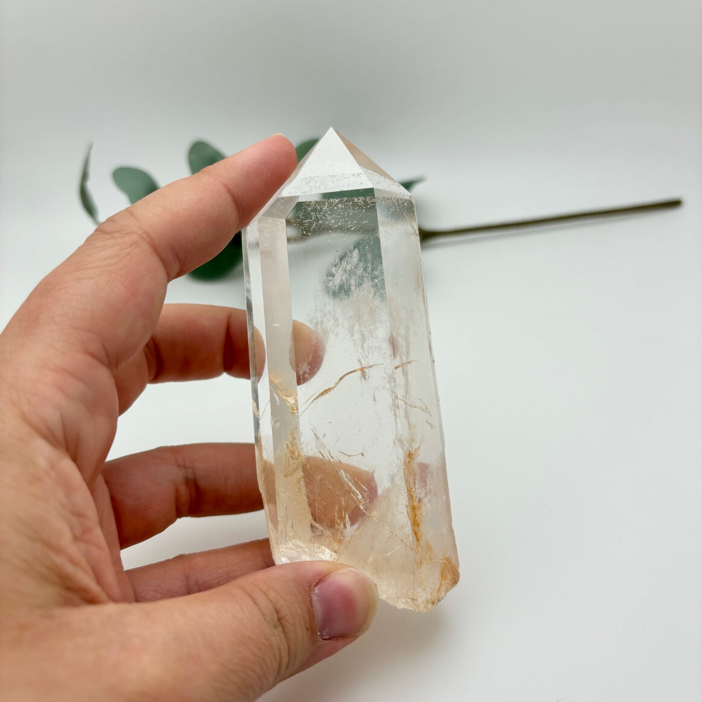 HQ Clear Quartz Points in Custom Stands