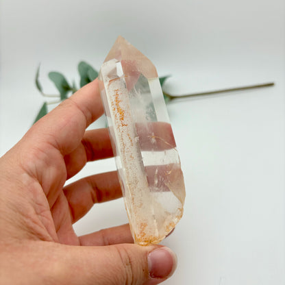 HQ Clear Quartz Points in Custom Stands