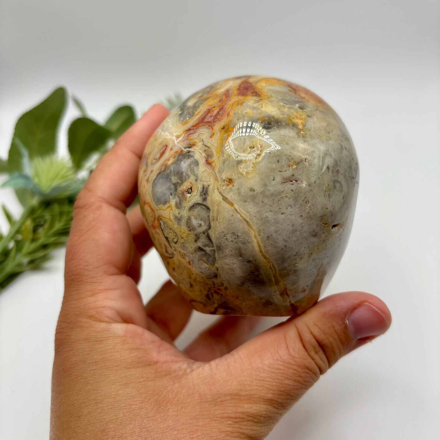XL Crazy Lace Agate Skull