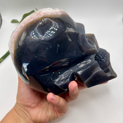 XXL Quartz in Agate Skull